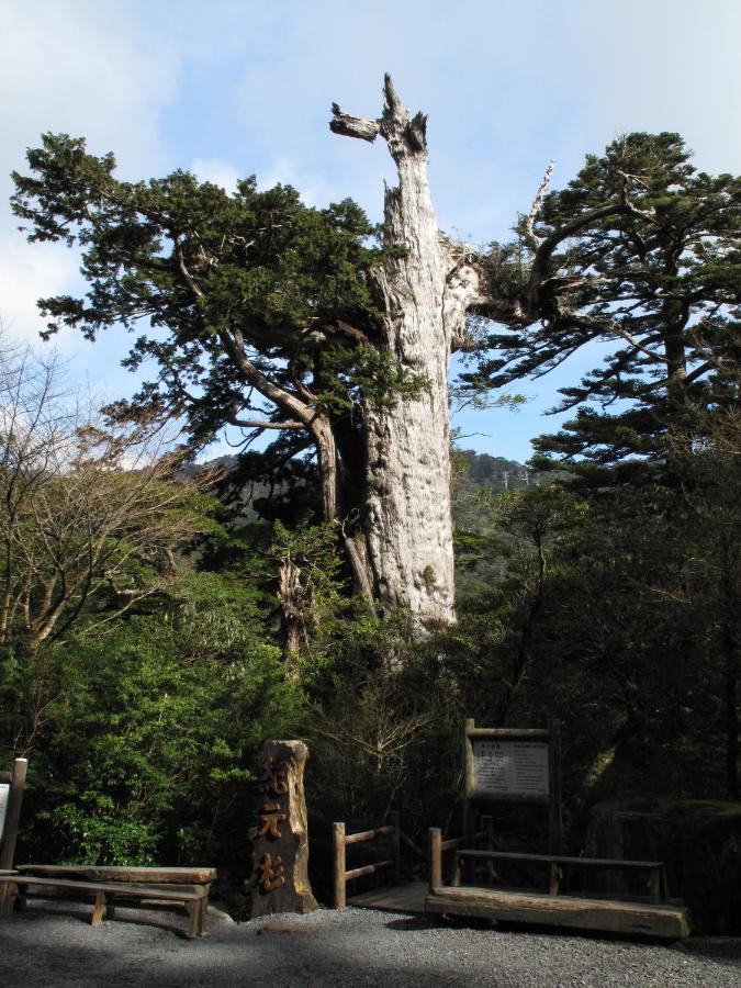 Hotel Yakushima Sanso Экстерьер фото